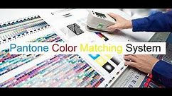 PMS Pantone Color Matching system
