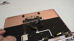 How to Disassemble Apple Macbook A1534 Laptop