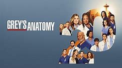 Grey's Anatomy Season 20 Episode 1