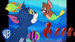 Tom & Jerry | Fishy Adventures 🦈 | Classic Cartoon Compilation | @WB Kids