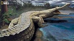 National Geographic I Super Giant Crocodile I Documentary