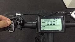 Unlimited The Top Speed For Ecotric Electric Bike With LCD Display