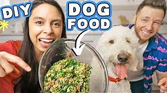 HOMEMADE DOG FOOD RECIPE 🐶 Healthy, easy & affordable!
