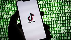 Stop playing the sucker on TikTok, says ex-Biden antitrust architect