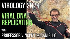 Virology Lectures 2024 #8: Viral DNA replication