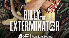 Billy the Exterminator: The Big Freeze