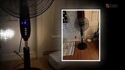 AmazonBasics Oscillating Dual Blade Standing Pedestal Fan with Remote Review