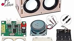 CYOEST DIY Bluetooth Speaker Box Kit Electronic Sound Amplifier - Build Your Own Portable Wood Case Bluetooth Speaker Sound - Science Experiment and STEM Learning for Kids, Teens and Adults