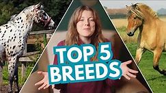 MY TOP 5 FAVORITE HORSE BREEDS (and why)
