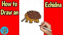 How to Draw an Echidna