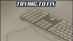 Trying to FIX : Faulty Apple Keyboard Model A1243 purchased on eBay