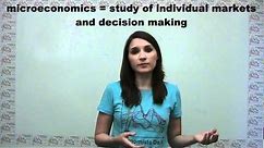 Microeconomics Versus Macroeconomics