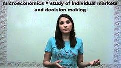 Microeconomics Versus Macroeconomics