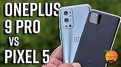 OnePlus 9 Pro vs Pixel 5 Comparison!
