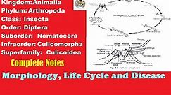 Mosquito. ||Morphology, Structure and Life Cycle|| |With Completes Notes|