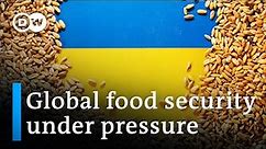 Ukraine war putting pressure on global grain supply | DW News
