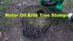 How-to Use Motor Oil To Kill A Tree Stump Tutorial