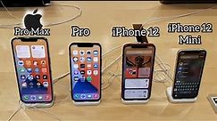 Apple iPhone 12 Models (iPhone 12 mini,iPhone 12,iPhone 12 Pro and iPhone 12 Pro Max) Display Demo