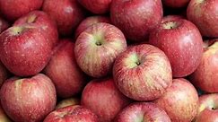 5 Ways to Keep Your Apples Fresh for Longer