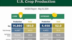 What You Need to Know About USDA's May WASDE Report