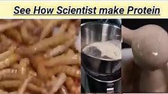 How Protein is made || Protein making Process
