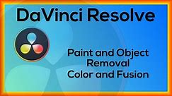 DaVinci Resolve - Paint and Object Removal