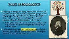 Ch. 1 Lecture - Introduction to Sociology