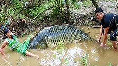Survival Challenges: Catch Big Carp By Hand in Puddles 🐟🐟🐟
