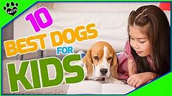 Top 10 Kid-Friendly Dog Breeds: Find Your Perfect Family Companion
