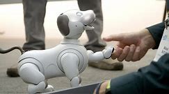 Sony's new Aibo is a very good robot dog