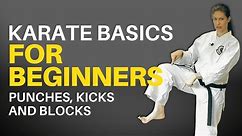 Karate Basics for Beginners (Follow-along Lesson)