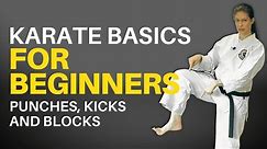 Karate Basics for Beginners (Follow-along Lesson)