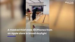 Brazen thief steals 49 iPhones from Apple store despite police car parked outside