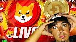 SHIBA INU COIN VS. DOGECOIN : MAJOR SHIBA INU COIN LIVE UPDATES!