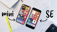 iPhone SE vs iPhone 12 mini (it's simple)