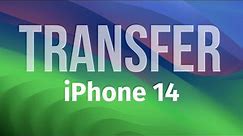 Use Quick Start to Transfer Data to a New iPhone 14 from iPhone SE