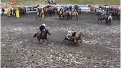 Steer Wrestling mud slide
