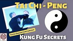 Tai Chi Fighting - Applications of Peng Jin - Taijiquan 太极拳 四正手 掤 履 擠 按