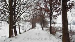 Capercaillie - Calum's Road