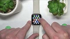 How to Adjust Volume on Apple Watch