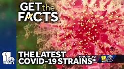 Know the latest COVID-19 strains, symptoms, vaccine timeline