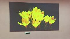 105” inch DIY HD 1080p,4K LED Projector Screen |How to Make| low budget home cinema screen setup