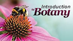 Plant Science: An Introduction to Botany | Wondrium