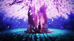 Cherry Blossom Tree【AMV】- See Rainy Night Flowers Again [HD] 1080p
