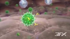 HIV Animation | Dr Muhammad Ali