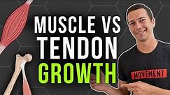 How to Build Tendon Strength vs. Muscle Strength