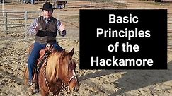 Basic Principles of the Hackamore (Bosal) - Horse Training