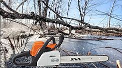 Stihl MS 170 chainsaw Review. (5 Year Review)
