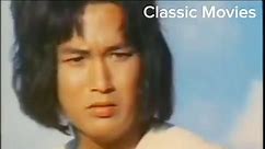 Classic Movies - Kung Fu of 8 Drunkards 1980