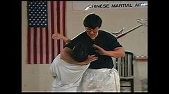SNAKE STYLE KUNG FU 1 - TRAINING AND BEGINNER FORMS - JO-SI RONDIE CHEN